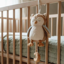 Load image into Gallery viewer, Little Dutch Music Owl Forest Friends