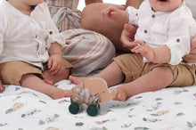 Load image into Gallery viewer, Grow Baby - Elephant Push Toy