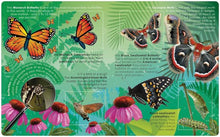 Load image into Gallery viewer, Lift the Flap Book - Learn About Bugs