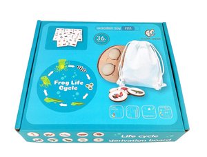 Biological Chain Toy( Life Cycle) - Hakko Toys