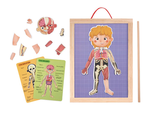 Tooky Toy - Magnetic Body Chart