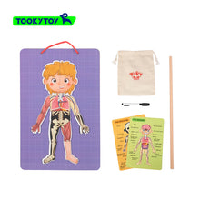 Load image into Gallery viewer, Tooky Toy - Magnetic Body Chart