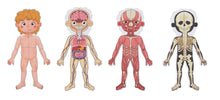 Load image into Gallery viewer, Tooky Toy - Magnetic Body Chart