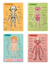 Load image into Gallery viewer, Tooky Toy - Magnetic Body Chart