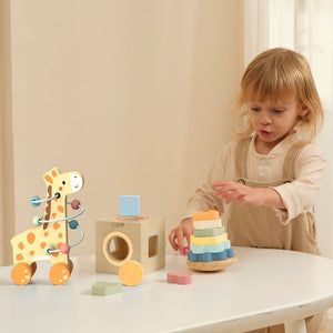 3-in-1 Giraffe Gift Box - TookyToy