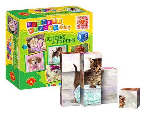 Picture Blocks - Kittens & Puppies