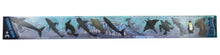 Load image into Gallery viewer, Cold Ocean Animals (12 piece)