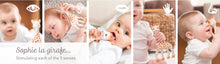 Load image into Gallery viewer, Sophie La Girafe: Gift box