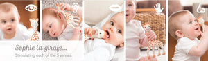 Sophie La Girafe: Gift box
